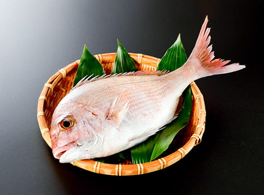 飼料について