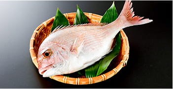 飼料